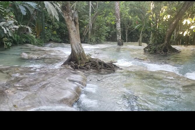 Dunns River Falls Experience from Montego Bay Resorts - What the $160 price really buys
