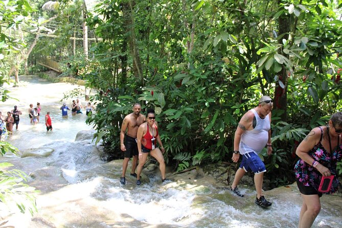 Dunns River Falls Half Day Private Tour Including Entry Fee. - The waterfall is the main event