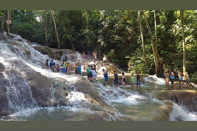 Dunns River Falls Private Day Tour - The climb is the star, but also the catch