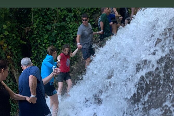 Dunns River Falls Private Day Tour - What the private format is really worth