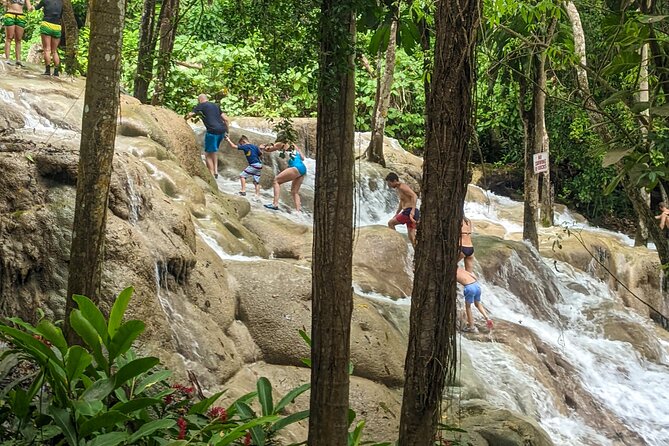 Dunns River Falls, Rafting, Zipline & Horseback from Montego Bay - Who gets the best value at $345?