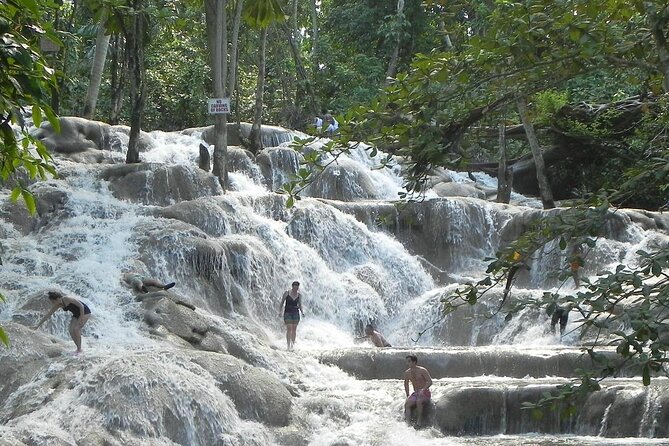 Dunns River Tour - Who will enjoy this tour most