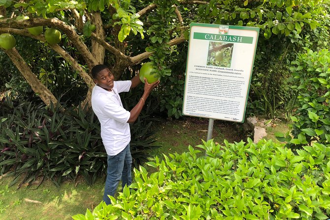 Explore Montego Bay Jamaica Private Tour to Green Gratto Cave - Is the $128.21 price good value?