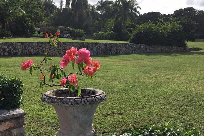 Explore Montego Bay Jamaica Rose Hall Great House Day/Night Tour - How the small group size affects your evening