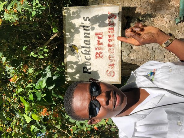 Explore Montego Bay Private Highlight Tour from Montego Bay - What the private vehicle means in practice
