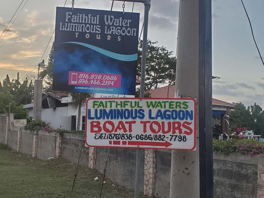 Falmouth: Luminous Lagoon Boat Tour - Timing, transport, and the real cost