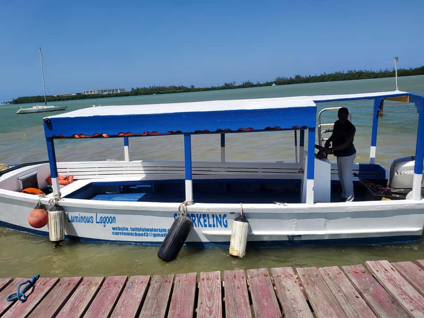 Falmouth: Luminous Lagoon Boat Tour - Who should book this experience