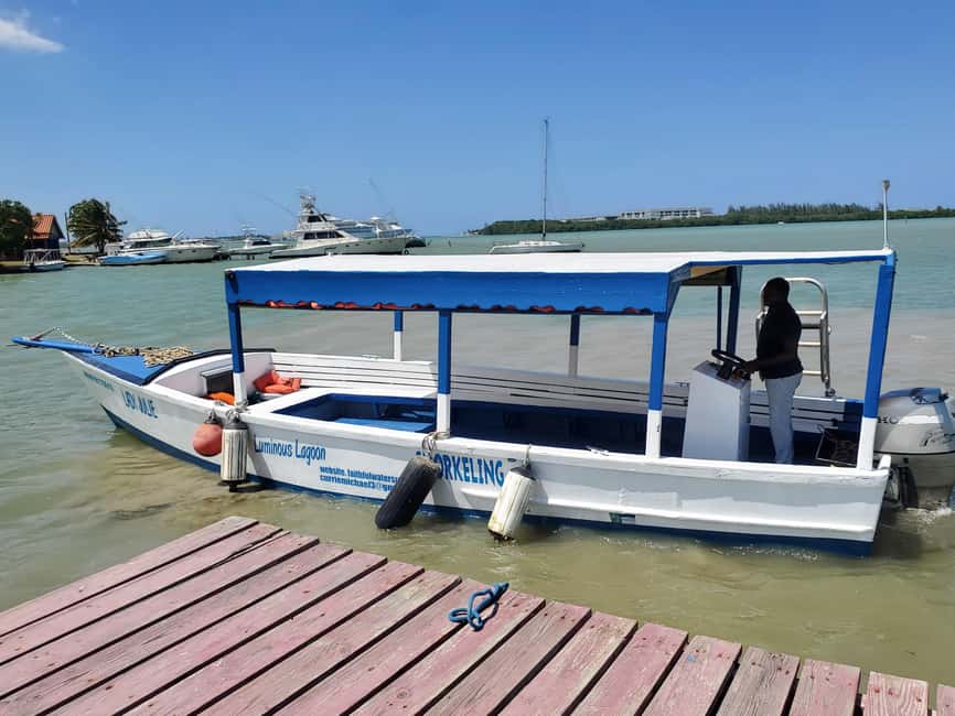 Falmouth: Luminous Lagoon Boat Tour - Should you book the Luminous Lagoon boat tour?