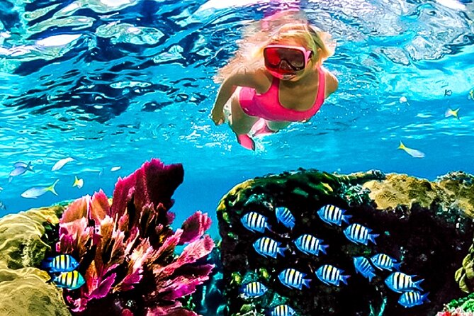 Family Fun-Snorkeling with Lunch Stop from Montego Bay - The quick trip from Montego Bay to the reef