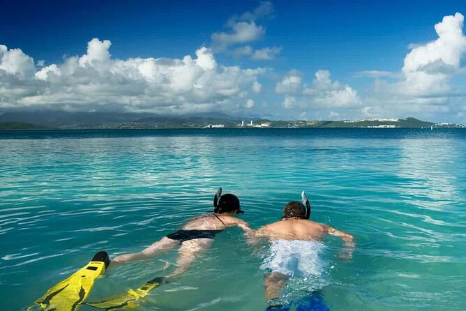 Family Fun-Snorkeling with Lunch Stop from Montego Bay - Why this works well for families