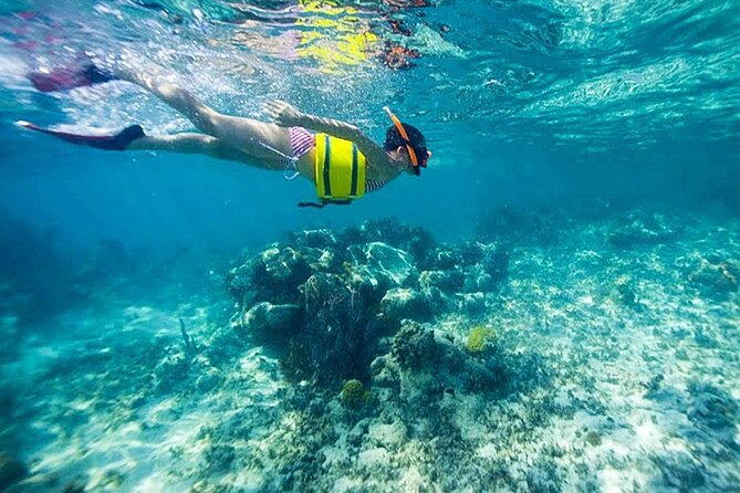 Family Fun-Snorkeling with Lunch Stop from Montego Bay - Choosing the snorkeling-only version