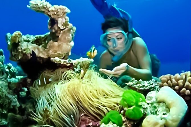 Family Fun-Snorkeling with Lunch Stop from Montego Bay - Weather, cancellation, and practical limits