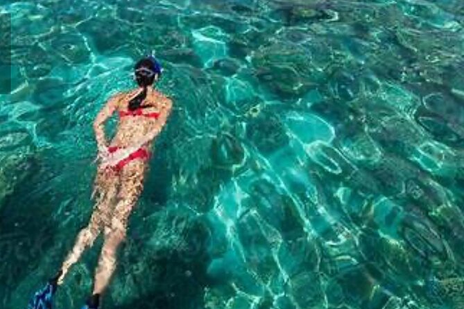 Family Fun-Snorkeling with Lunch Stop from Montego Bay - Is $110 a fair price?