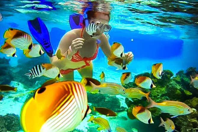 Family Fun-Snorkeling with Lunch Stop from Montego Bay - Boarding the speedboat and getting ready