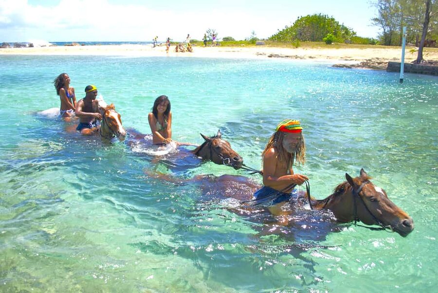 From Falmouth: Horseback Ride and Swim Beach Trip - Key points to know before booking