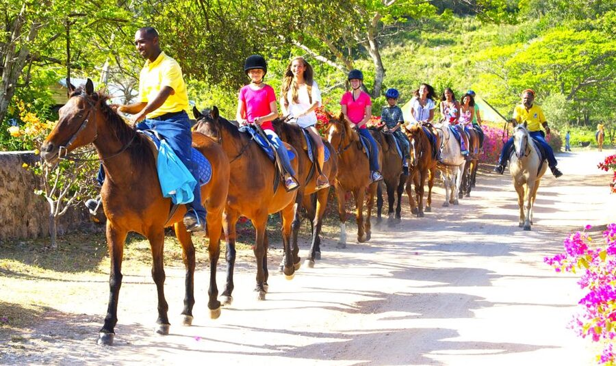 From Falmouth: Horseback Ride and Swim Beach Trip - Practical preparation for the day