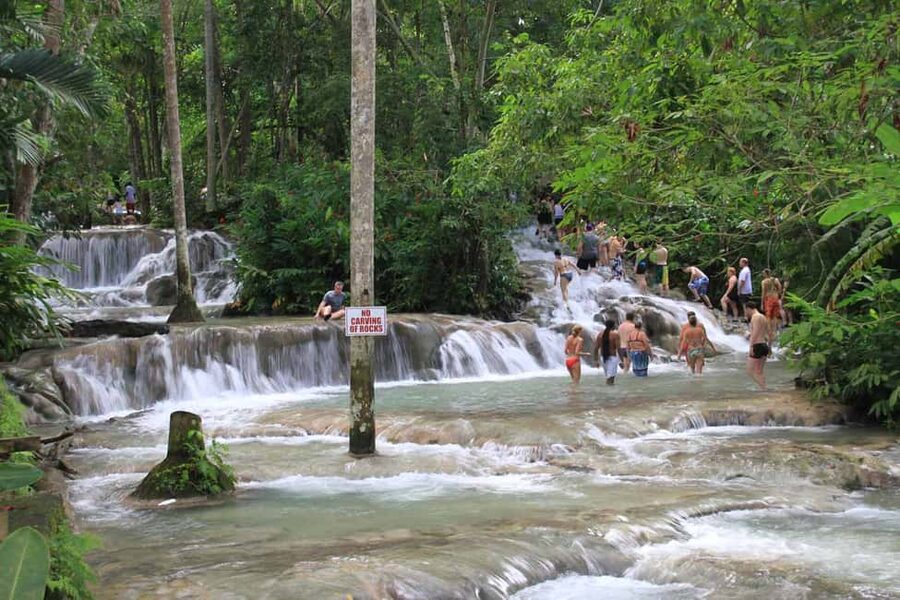 From Montego Bay: Dunn’s River Falls Experience - What $135 includes, and what it does not