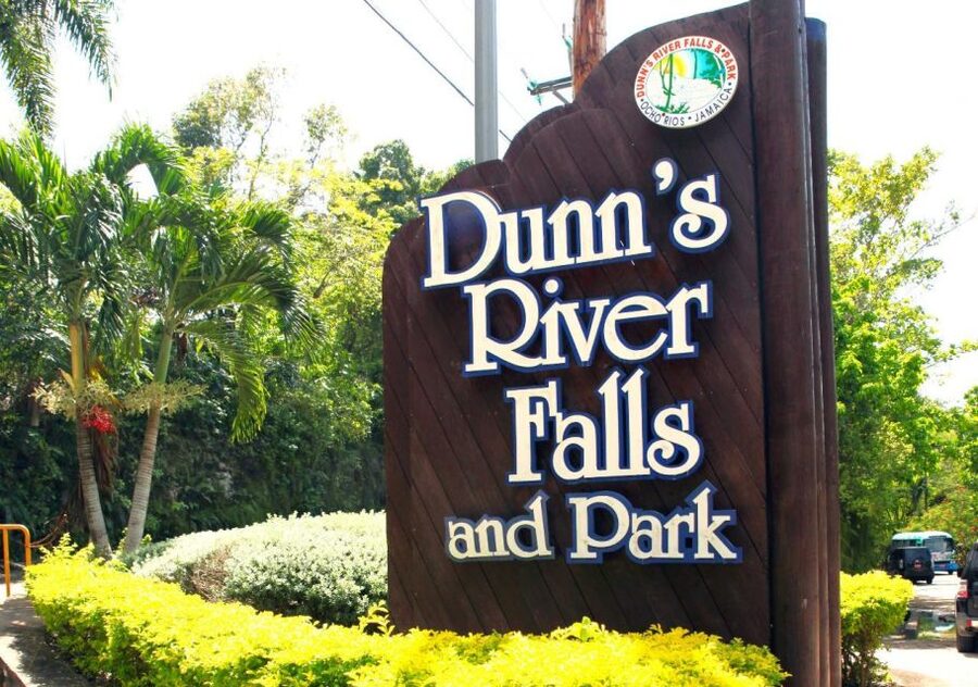 From Montego Bay: Dunn’s River Falls Experience - The personal service from Bless Up Tours & Transfers