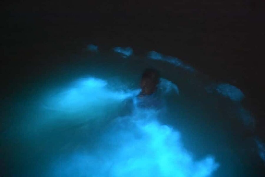 From Montego Bay: Luminous Lagoon Night Tour - Key points to know before you book