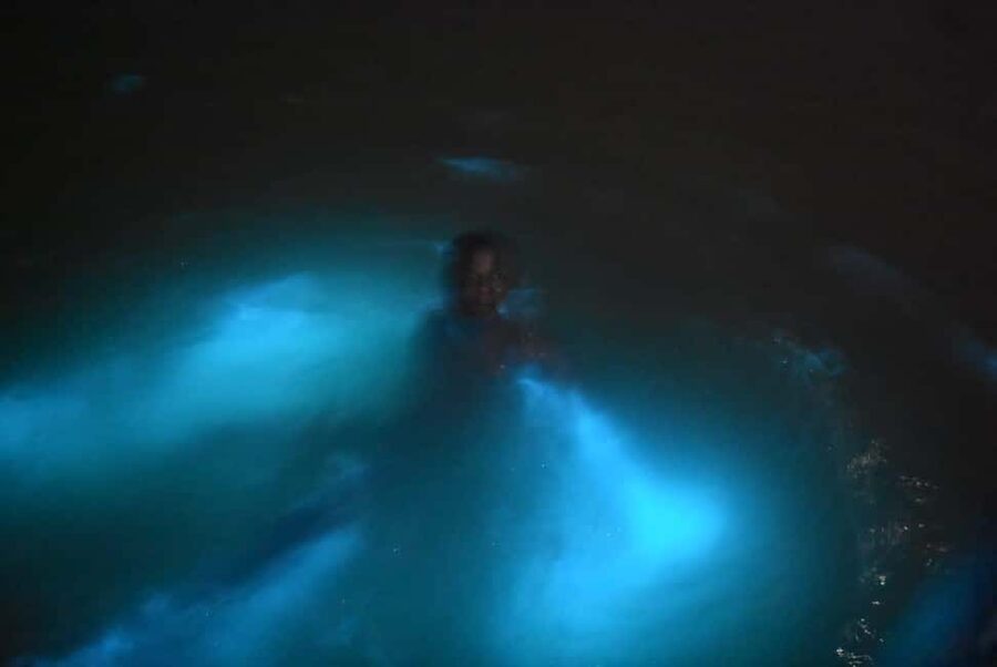 From Montego Bay: Luminous Lagoon Night Tour - What the blue glow looks like in real life