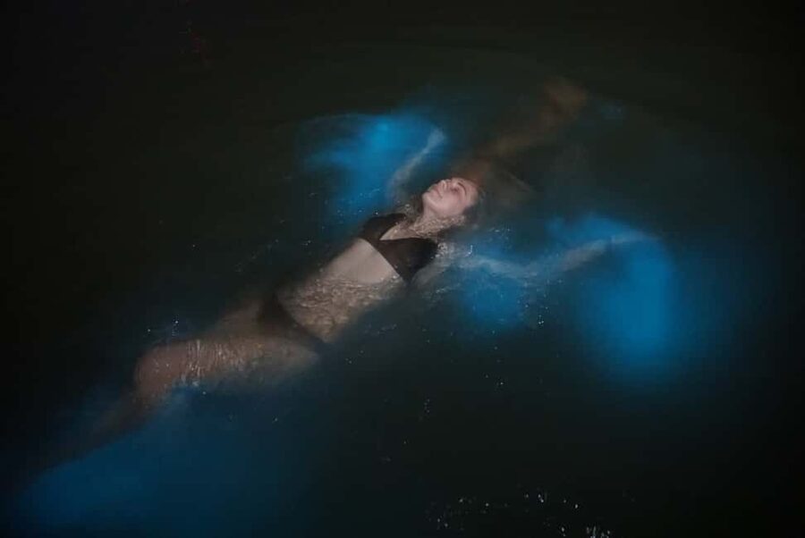 From Montego Bay: Luminous Lagoon Nighttime Boat Tour - Why Jamaica’s Luminous Lagoon Glows at Night