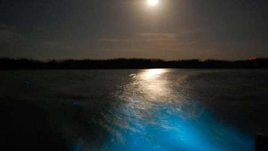 From Montego Bay: Luminous Lagoon Nighttime Boat Tour - Leaving Montego Bay for Falmouth