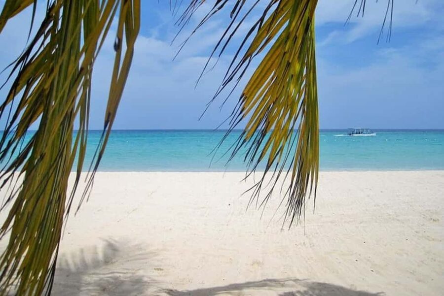 From Montego Bay: Negril Beach and Rick's Café Day Trip - Key points to know before booking