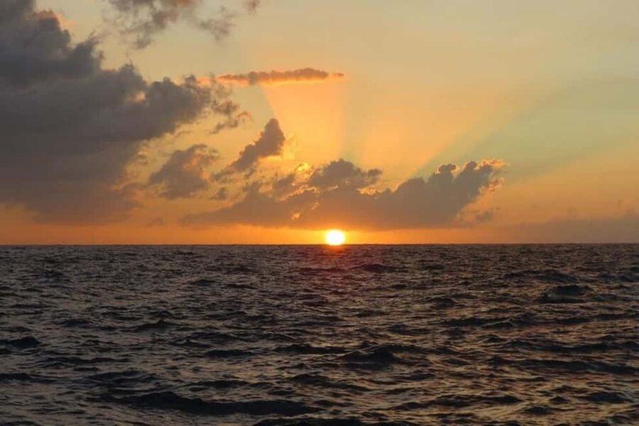 From Montego Bay: Negril Beach and Rick's Café Day Trip - Practical ways to make the day better