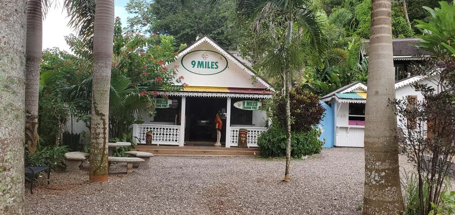From Montego Bay: The Bob Marley Guided Tour of Nine Mile - Should you book the Nine Mile tour?