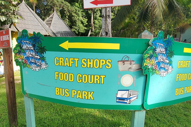 Full-Day Guided Tour to Dunns River Falls & shopping with lunch - Who will enjoy this outing most