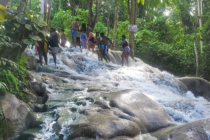 Full-Day Guided Tour to Dunns River Falls & shopping with lunch - Booking, weather, and cancellation points