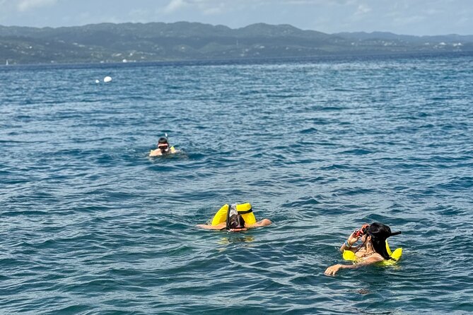 Glass bottom Boat Tour and Snorkeling Experience in Montego Bay - Why the private format changes the day