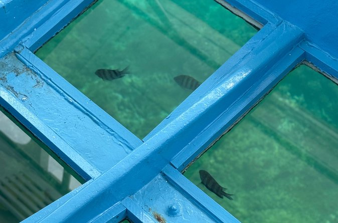 Glass bottom Boat Tour and Snorkeling Experience in Montego Bay - Booking and cancellation details that matter