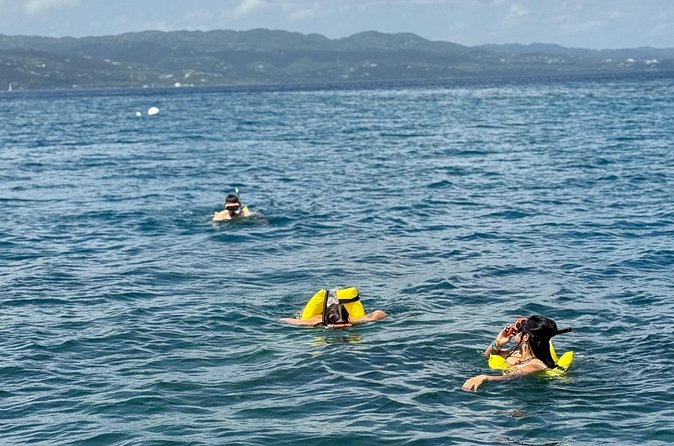Glass bottom Boat Tour and Snorkeling Experience in Montego Bay - Should you book the Montego Bay glass-bottom boat tour?