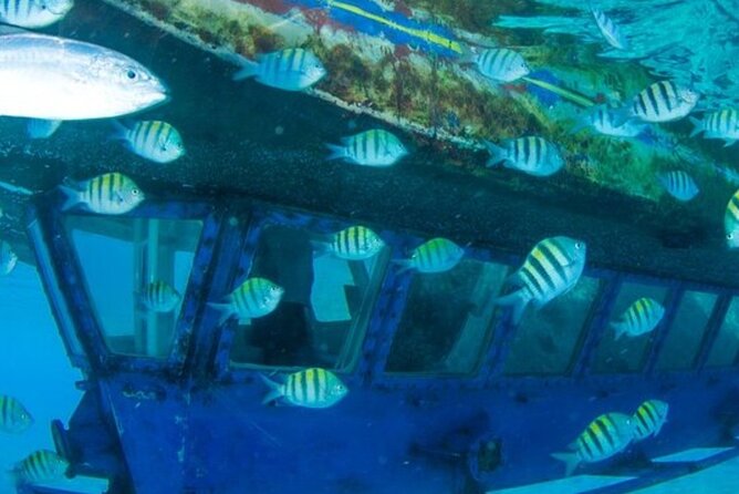 Glass Bottom Boat Water Activity in Montego Bay Jamaica - Who will enjoy this most
