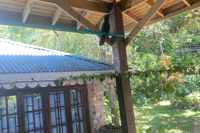 Great River Bamboo Rafting and Bird Sanctuary Combine Tour From Montego Bay - The limestone body massage