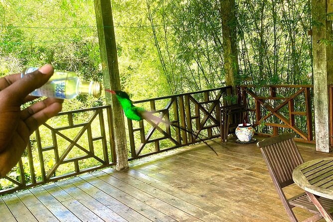 Great River Bamboo Rafting and Bird Sanctuary Combine Tour From Montego Bay - Private transport from Montego Bay