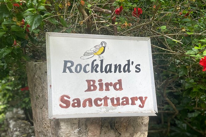 Great River Bamboo Rafting and Bird Sanctuary Combine Tour From Montego Bay - How the timing works