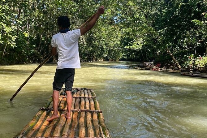Great River Bamboo Rafting and Bird Sanctuary Combine Tour From Montego Bay - Rocklands Bird Sanctuary and the long-tailed hummingbird