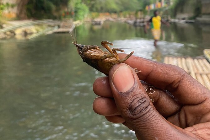Great River Rafting - Limestone Foot Massage and ATV Rides From Montego Bay - Trading the raft for an ATV