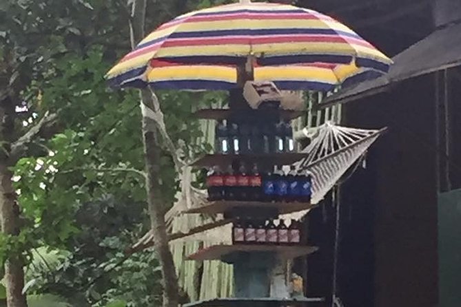 Half-Day Private Martha Brae Rafting Tour from Montego Bay - Scotchies Drax Hall for jerk chicken and pork