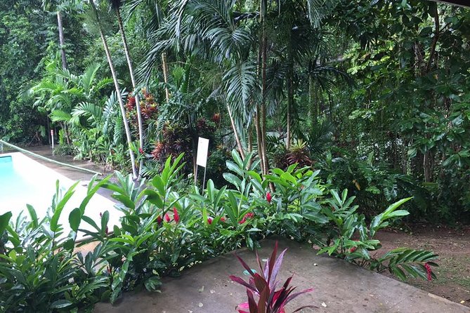 Half-Day Private Martha Brae Rafting Tour from Montego Bay - Is $140 per person a fair price?