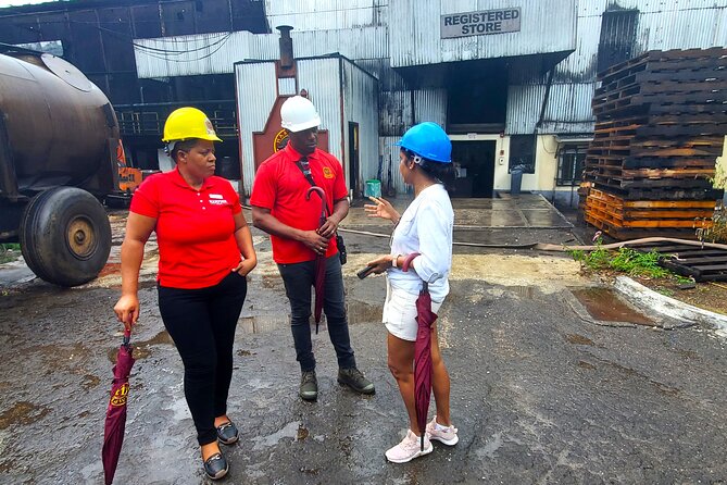 Hampden Estate Rum Tour and Lunch from Montego Bay - What the $195 price really buys