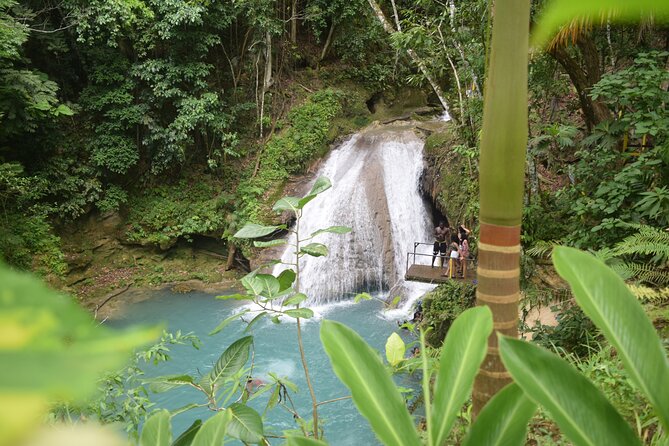 Horse Back Riding and Blue Hole From Montego Bay - Who will enjoy this excursion most