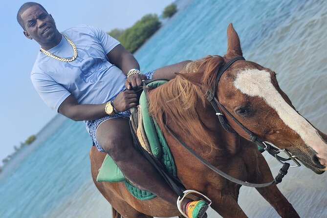 Horseback Ride and Swim Experience Montego with Transportation - Is $110 a Fair Price?