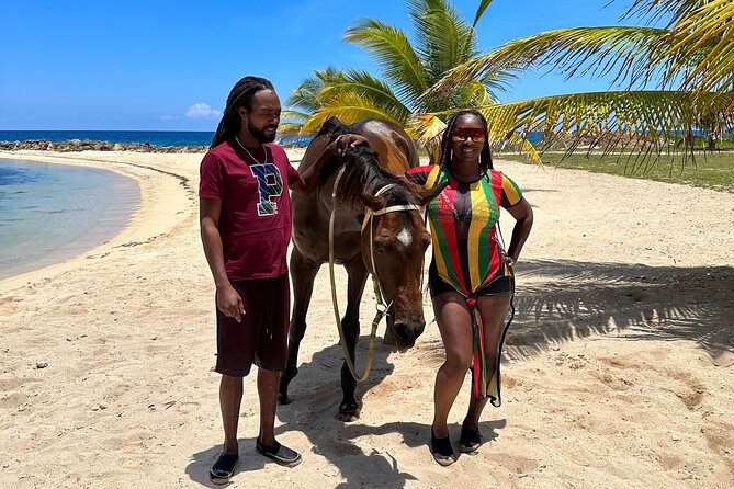 Horseback Ride and Swim Guided Tour from Montego Bay - The Caribbean swim with your horse