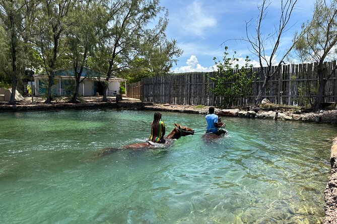 Horseback Ride and Swim Guided Tour from Montego Bay - Price, timing, and what your $160 buys