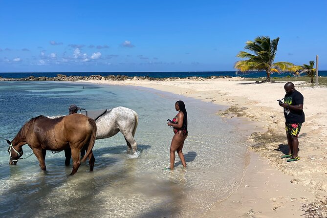 Horseback Ride and Swim Guided Tour from Montego Bay - Who will enjoy this experience most
