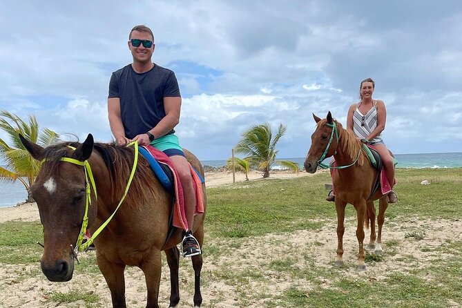 Horseback Ride and Swim Jamaica - Horses, guides, and care standards