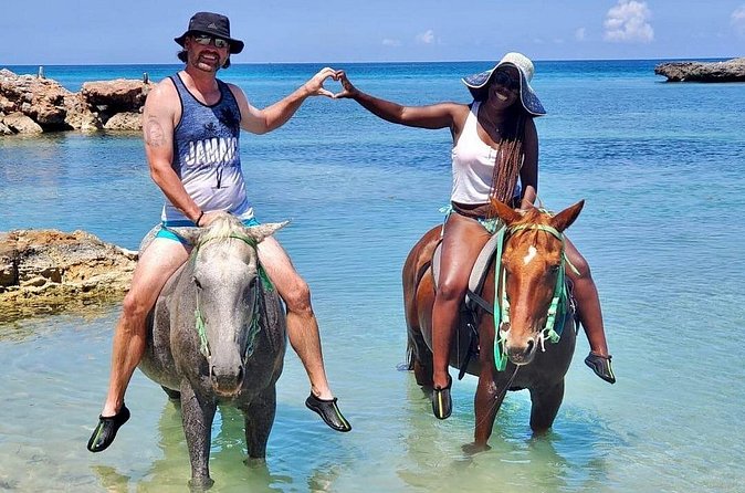 Horseback Ride and Swim Jamaica - Who will enjoy this most
